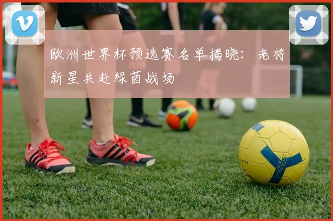 欧洲世界杯预选赛名单揭晓：老将新星共赴绿茵战场