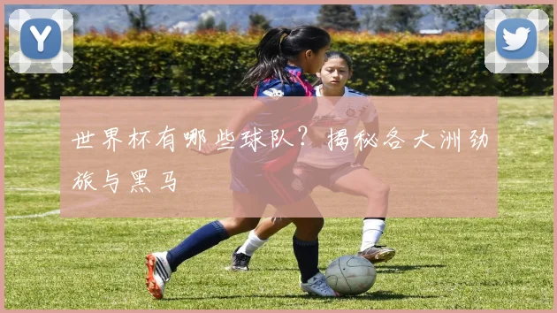 世界杯有哪些球队？揭秘各大洲劲旅与黑马