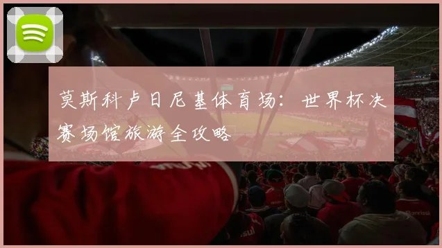 莫斯科卢日尼基体育场：世界杯决赛场馆旅游全攻略