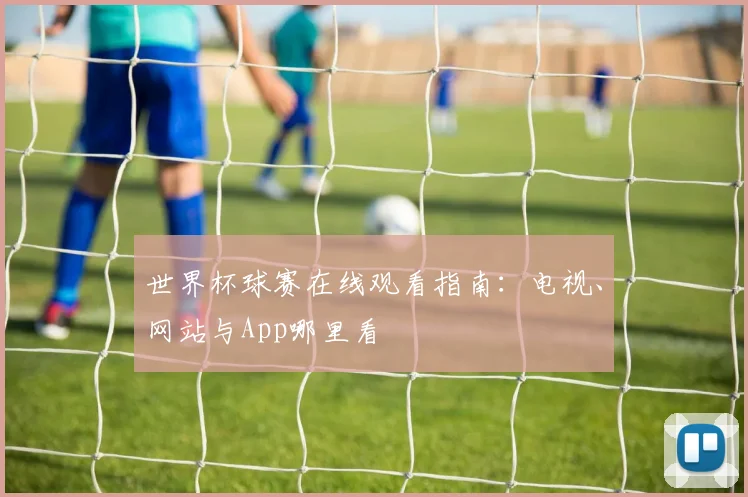 世界杯球赛在线观看指南：电视、网站与App哪里看