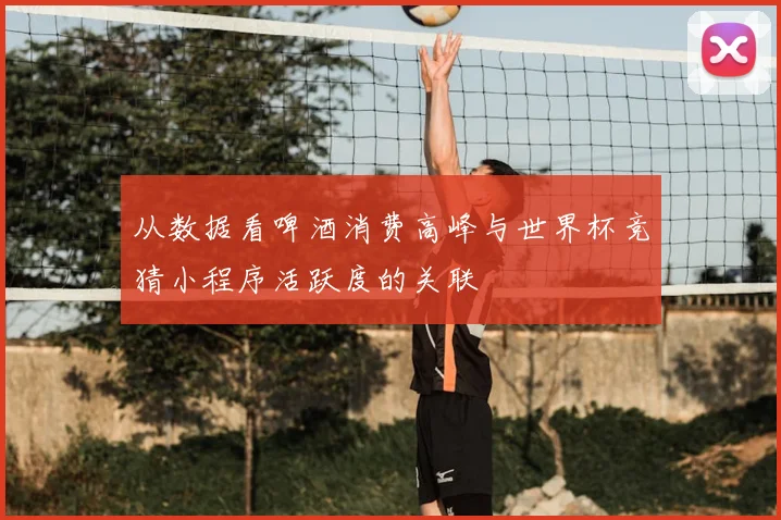 从数据看啤酒消费高峰与世界杯竞猜小程序活跃度的关联