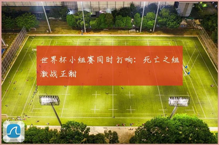 世界杯小组赛同时打响：死亡之组激战正酣