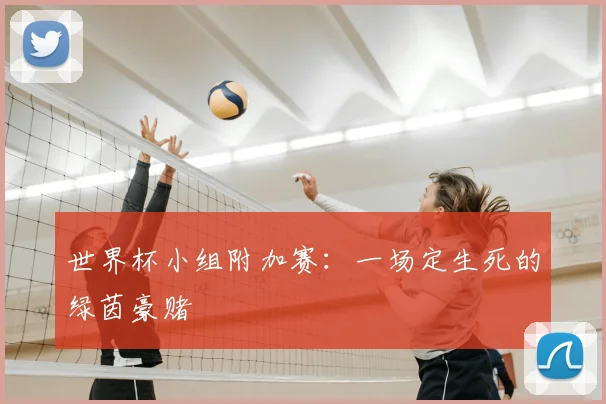 世界杯小组附加赛:一场定生死的绿茵豪赌