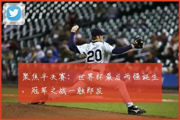 聚焦半决赛：世界杯最后两强诞生，冠军之战一触即发