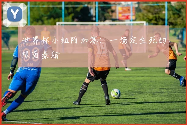 世界杯小组附加赛：一场定生死的绿茵豪赌