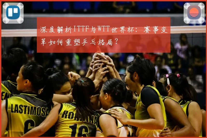 深度解析ITTF与WTT世界杯：赛事变革如何重塑乒乓格局？