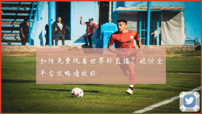 如何免费观看世界杯直播？这份全平台攻略请收好