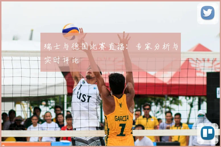瑞士与德国比赛直播：专家分析与实时评论