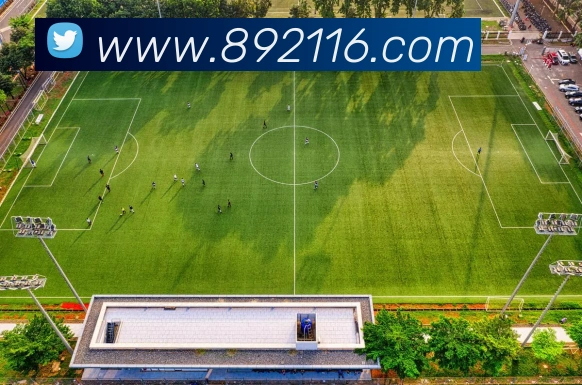 App Interface Preview